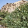 Barranco 58